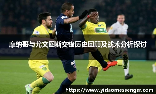 3377体育官网下载