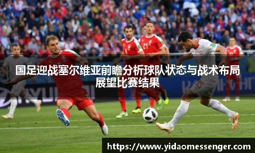 3377体育官网
