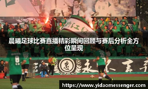 3377体育官网下载