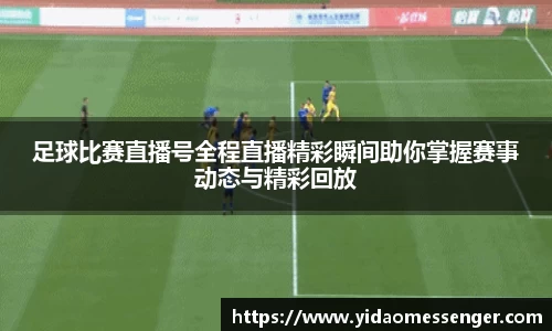 3377体育官网