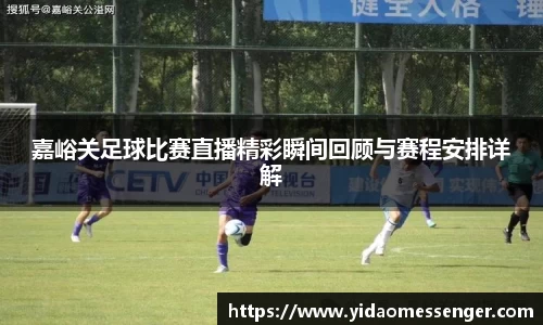 3377体育官网下载