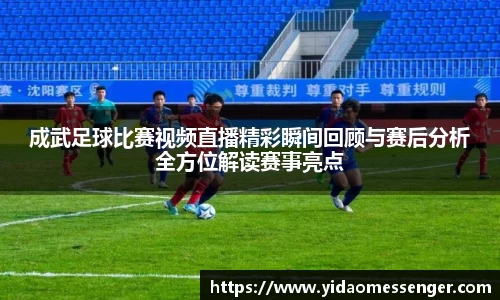 3377体育官网下载