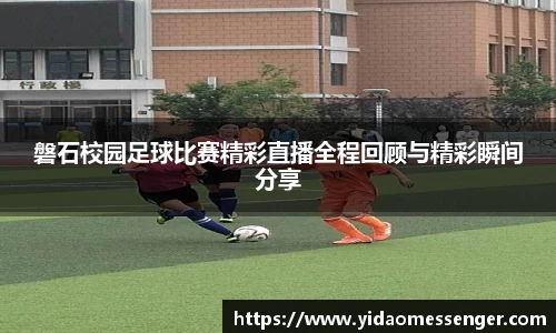 3377体育官网