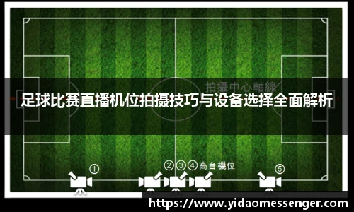 3377体育官网下载