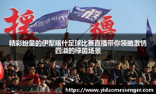 3377体育官网下载