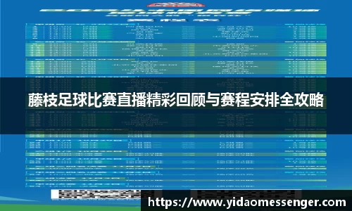 3377体育APP