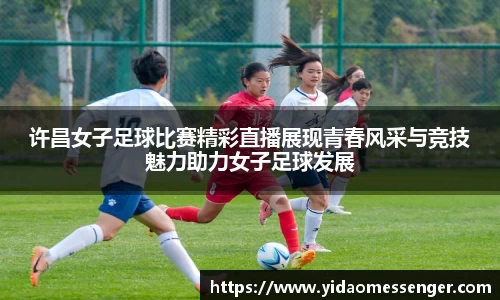3377体育官网下载