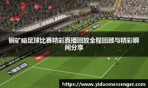 3377体育官网下载