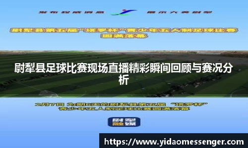 3377体育官网