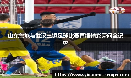 3377体育官网下载