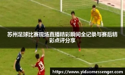 3377体育官网下载