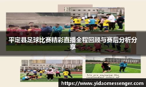 3377体育官网下载