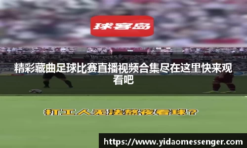 3377体育官网