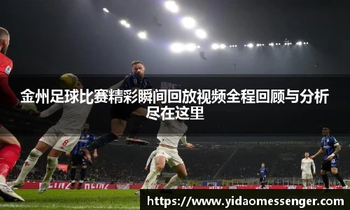 3377体育官网下载