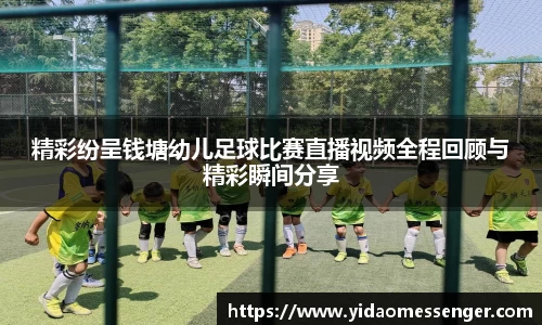3377体育官网下载