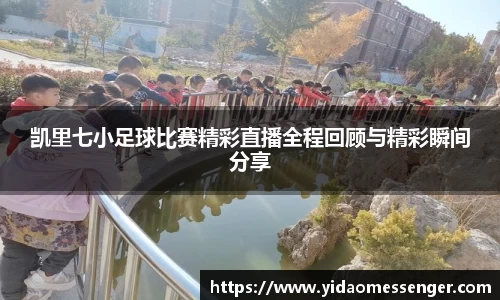 3377体育官网