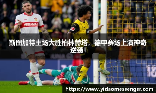 3377体育官网下载