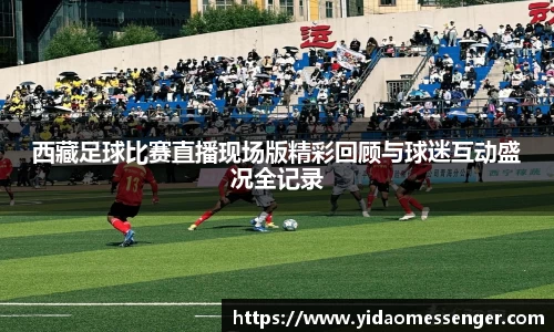 3377体育官网