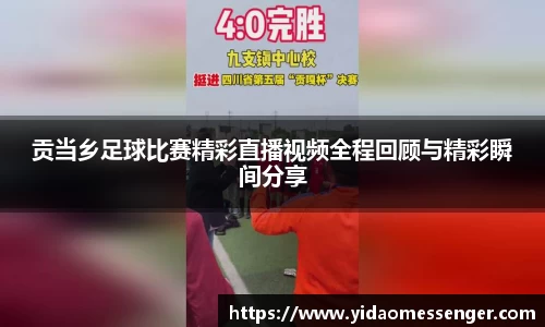 3377体育官网下载