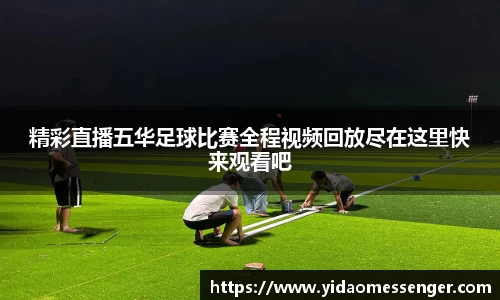 3377体育官网下载