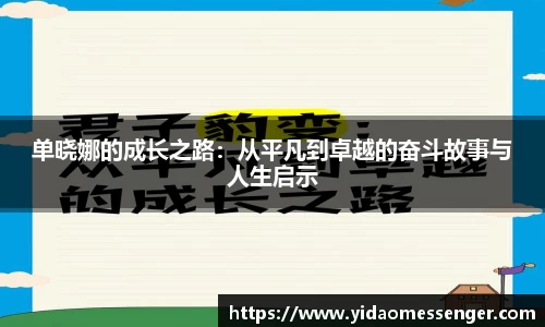 3377体育APP