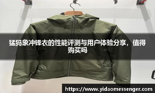 3377体育