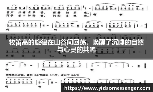 3377体育官网下载