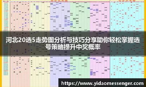 3377体育