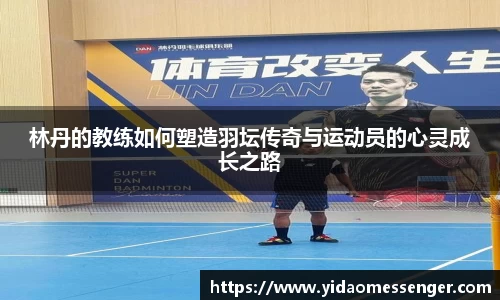 3377体育官网下载
