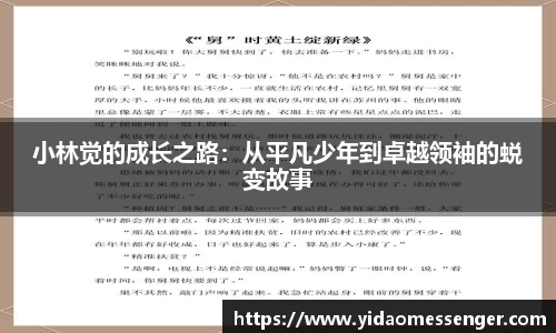 3377体育官网