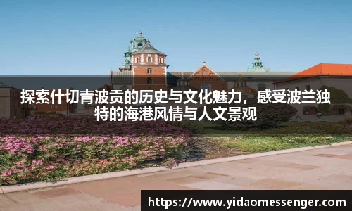 3377体育
