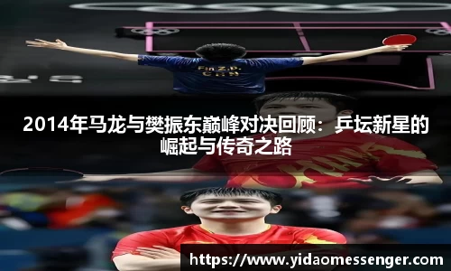 3377体育官网下载